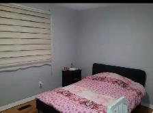 RENT A ROOM AT YONGE AND STEELES BEHIND CENTER POINT MALL HILDA