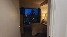 1 Bedroom 1 Bathroom Downtown Toronto - Photo 3