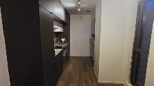 1 Bedroom 1 Bathroom Downtown Toronto - Photo 4