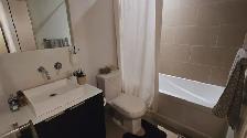 1 Bedroom 1 Bathroom Downtown Toronto - Photo 5