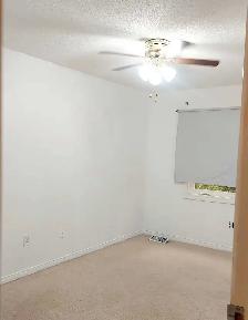 Rental VERY CLOSE TO UNIVERSITY OF GUELPH - Photo 5