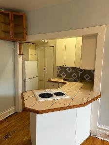 Brockville One Bedroom For Rent - Photo 3