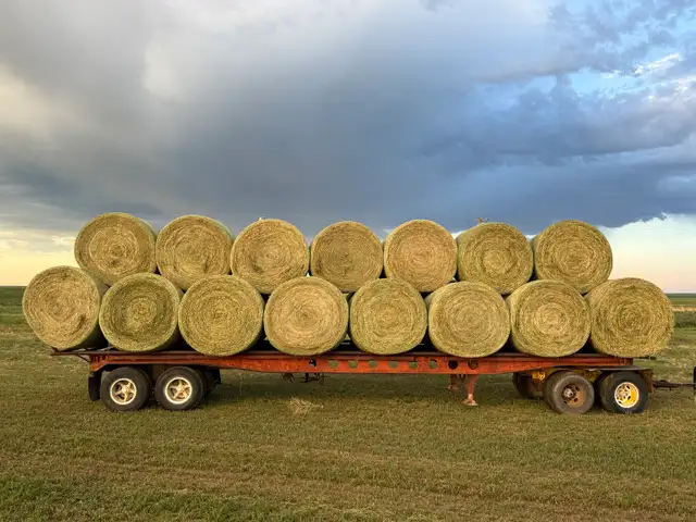 2026 - Hay for sale