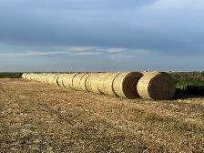2026 - Hay for sale - Photo 4