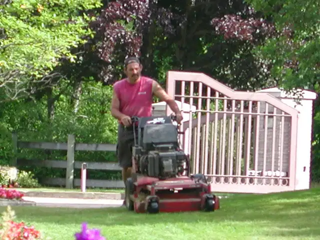 Lawn Maintenance/Landscaper