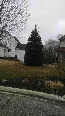 Lawn Maintenance/Landscaper - Photo 7