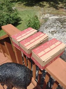 Your choice 3 boxes of Canadian/ American pennies unsearched - Photo 2