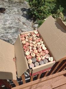 Your choice 3 boxes of Canadian/ American pennies unsearched - Photo 3
