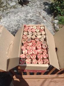 Your choice 3 boxes of Canadian/ American pennies unsearched - Photo 4