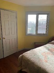 Room for rent in large home at Yonge & Finch. Near Subway - Photo 3