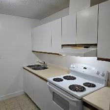 Two Bedroom Available August in Minnow Lake - Photo 2