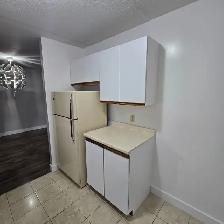 Two Bedroom Available August in Minnow Lake - Photo 3