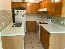 Kitchen Countertop and Vanitys on Sale!! Free sink included! - Photo 2
