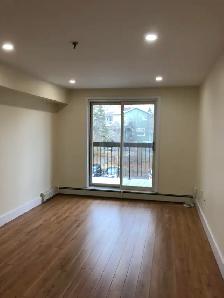 1BR w/ Balcony-249 Windmill Unit 530-NOW/Aug 1st - Heat/Wat/PK - Photo 3