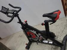 Schwinn IC3 Stationary Bike