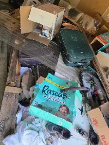 garbage removal and dumping service - Photo 2