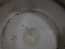 Big Green Egg Grill - Photo 6