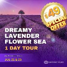 8 Top-Rated One-Day Tours from the GTA | From $39   Tax - Photo 3