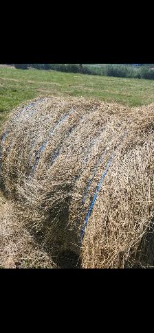 First Cut Timothy Mix 4x4 Round bales Port Colborne