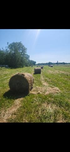 First Cut Timothy Mix 4x4 Round bales Port Colborne - Photo 2