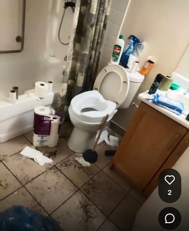 Cleaning Service