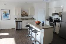 2 Bedroom Suite Available (FREE Parking): Ivy Trails Apartments! - Photo 2