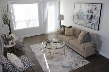 2 Bedroom Suite Available (FREE Parking): Ivy Trails Apartments! - Photo 5