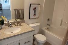 2 Bedroom Suite Available (FREE Parking): Ivy Trails Apartments! - Photo 6