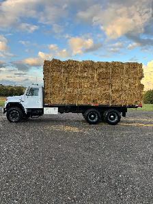 BARLEY STRAW