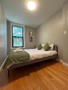 Best Deal! Really Bright! Three-Bedroom Main Floor! Rent - Photo 6