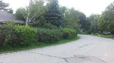 free pickup old landscaping tools/snowblowers