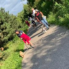 Outdoor Dog Reactivity Group Class ($5 Trial)