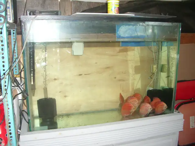 FOR SALE 45 GALLON TANK AND STAND $100