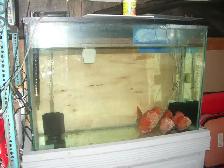FOR SALE 45 GALLON TANK AND STAND $100