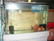 FOR SALE 45 GALLON TANK AND STAND $100 - Photo 2