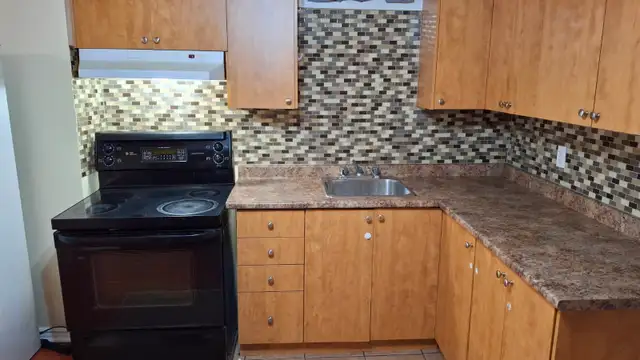 Large 3 (Three) bedroom basement unit for Rent