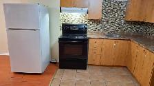 Large 3 (Three) bedroom basement unit for Rent - Photo 2