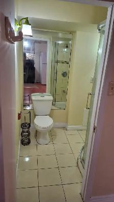 Large 3 (Three) bedroom basement unit for Rent - Photo 5