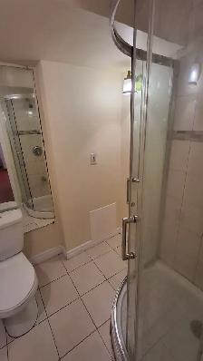 Large 3 (Three) bedroom basement unit for Rent - Photo 10