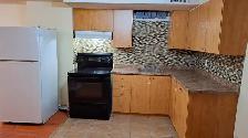 Large 3 (Three) bedroom basement unit for Rent - Photo 21