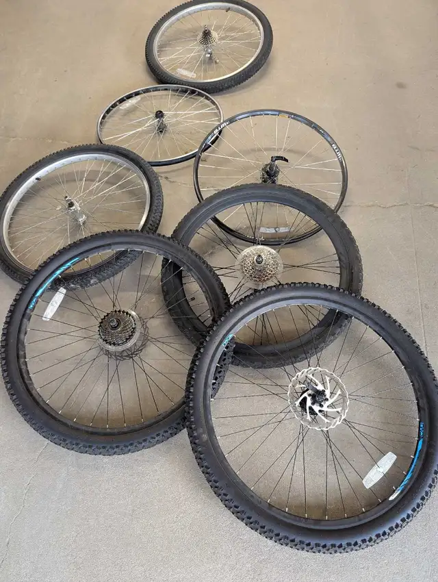 Bicycle tires and rims