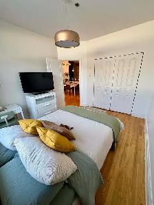 Cession de bail – Bright 3½ near Parc Laurier – $1550/month - Photo 6