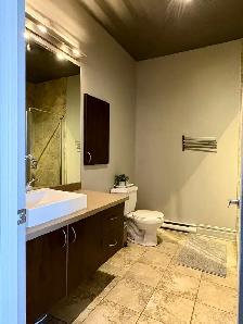 Cession de bail – Bright 3½ near Parc Laurier – $1550/month - Photo 7