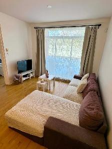 Cession de bail – Bright 3½ near Parc Laurier – $1550/month - Photo 8