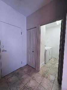 Cession de bail – Bright 3½ near Parc Laurier – $1550/month - Photo 9
