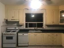 One Bedroom Apt $1800 - Photo 8