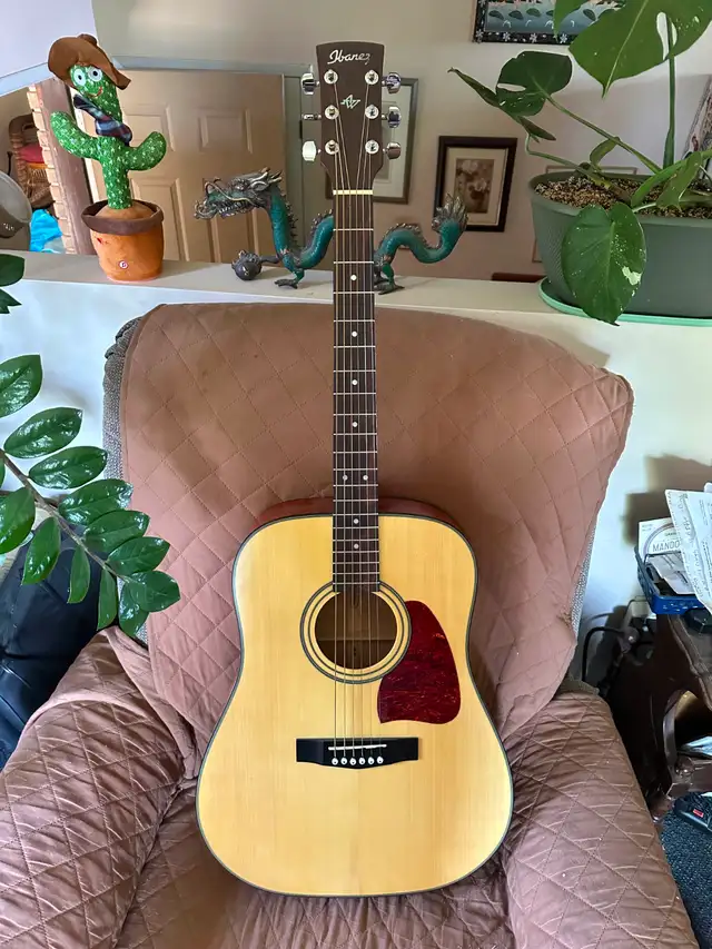 Ibanez AW50 acoustic guitar