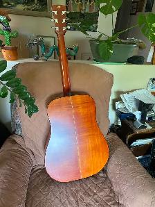 Ibanez AW50 acoustic guitar - Photo 2