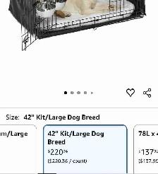 Large dog kennel - Photo 5