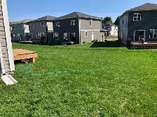 4BDRM Fully Detached House for Rent - Photo 12